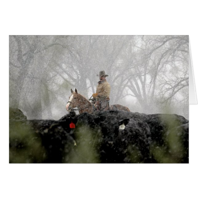 Cowboy in Winter (Front Horizontal)