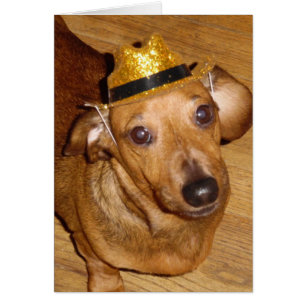 COWBOY MAGNIFIQUE DE MICKEY