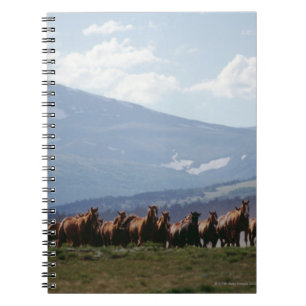 Cowboy moving herd of horses notebook