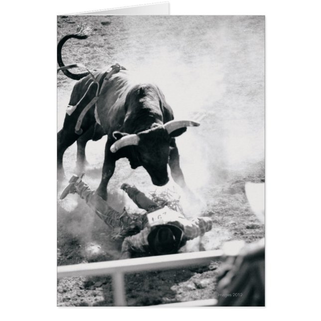 Cowboy on ground after falling off bull (Front)