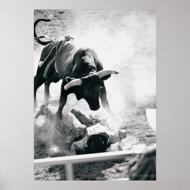Cowboy on ground after falling off bull poster (Front)