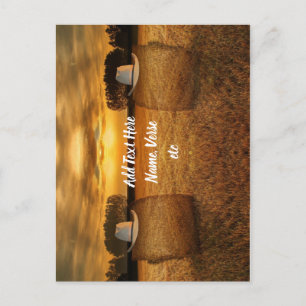 Cowboy Postcard