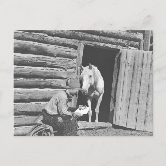 Cowboy reading a letter with a horse postcard (Front)
