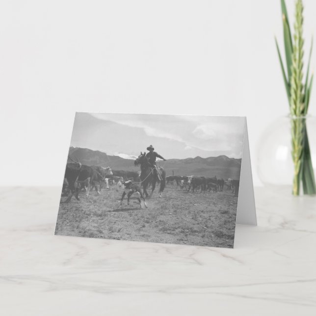 Cowboy roping a calf for spring branding. card (Front)