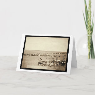 Cowboy Round-Up at Belle Fouche SD 1887 Card