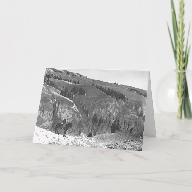 Cowboy separated from his herd. card (Front)