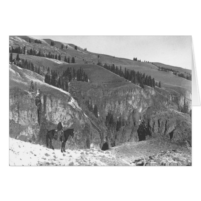 Cowboy séparé de son troupeau (Devant horizontal)