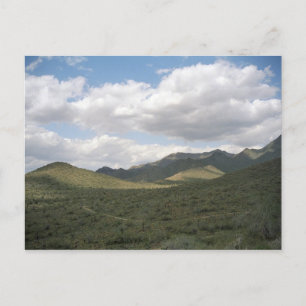 Cowboy Skyline Arizona Desert Photo Postcards