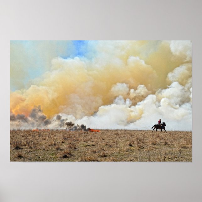 Cowboy Starting a Controlled Burn Poster (Front)