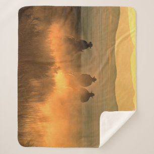 Cowboy Trio: Mountainous Background Gallop. Sherpa Blanket