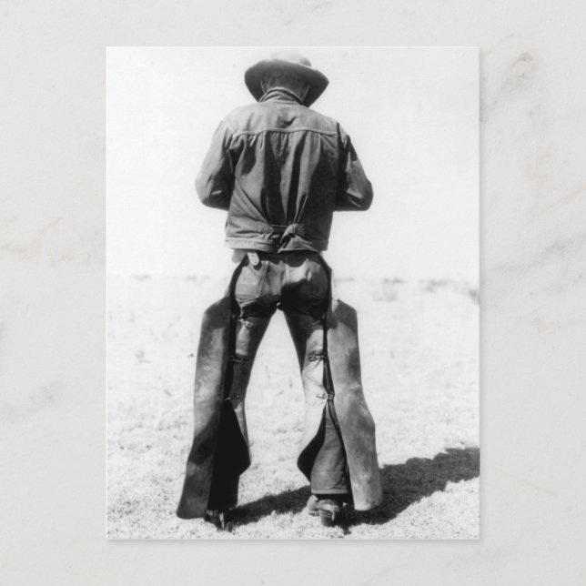 Cowboy Wearing Chaps Vintage Postcard (Front)