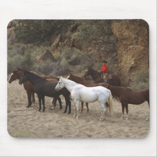 Cowboy with Herd Mouse Pad