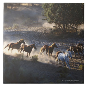 Cowboy with herd of horses tile