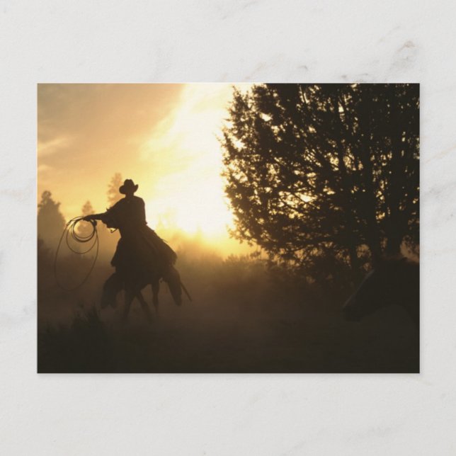 Cowboy with Lasso in Sunset Postcard (Front)