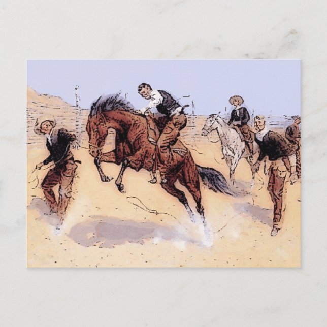 Cowboys - Cowboy Breaking Horse Postcard (Front)