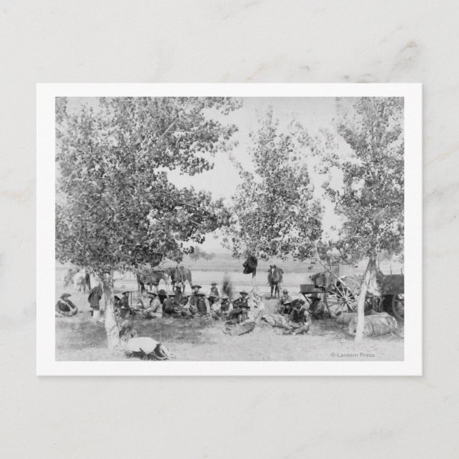 Cowboys Eating Dinner on Ground Under Trees Postcard (Front)