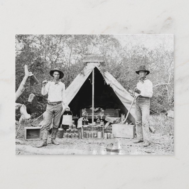 Cowboys in Camp, 1890 Postcard (Front)