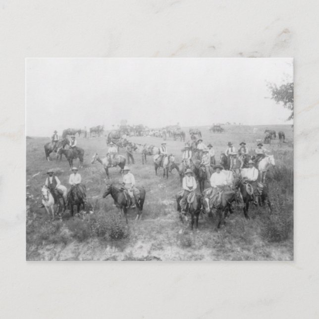 Cowboys On Horseback Postcard (Front)