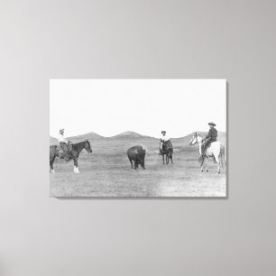 Cowboys on Horses Roping Buffalo Photograph Canvas Print