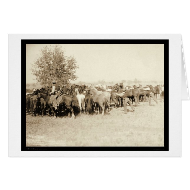 Cowboys Roping a Herd of Horses SD 1887 (Devant horizontal)