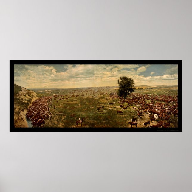 Cowboys Rounding Up Cattle 1912 Poster (Front)