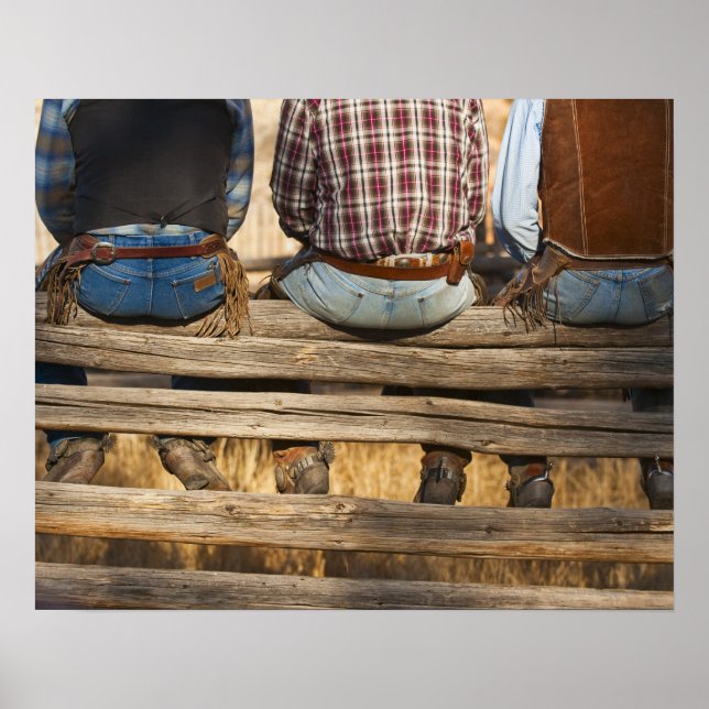 Cowboys sitting on fence poster (Front)