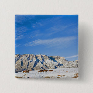 Cowboys with Heard of Horses 2 Inch Square Button