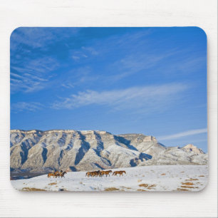 Cowboys with Heard of Horses Mouse Pad