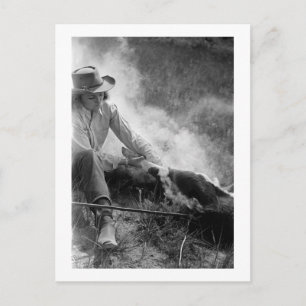 Cowgirl Rassling a Calf, 1930s Postcard