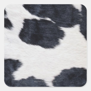 Cowhide Print Square Sticker