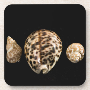 Cowrie Cones 2 Cork Coaster