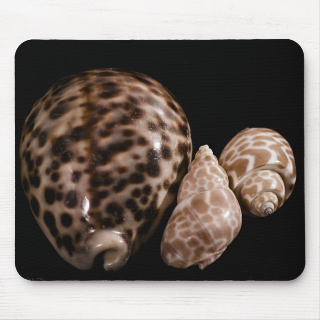 Cowrie Cones Mousepad (Front)