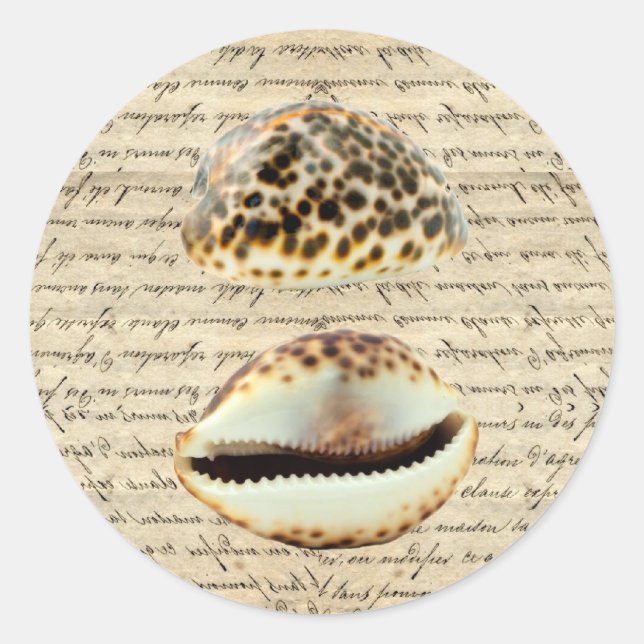 Cowrie shells classic round sticker (Front)