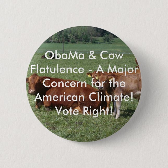 cows-19rq, ObaMa & Cow Flatulence - A Major Con... 2 Inch Round Button (Front)