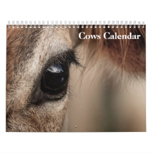 Cows 2026 Calendar