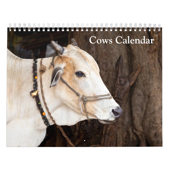 Cows 2027 Calendar (Cover)