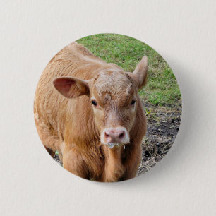 COWS 2 INCH ROUND BUTTON