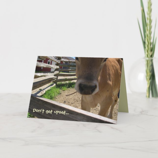 Cows 50th Birthday Card (Front)