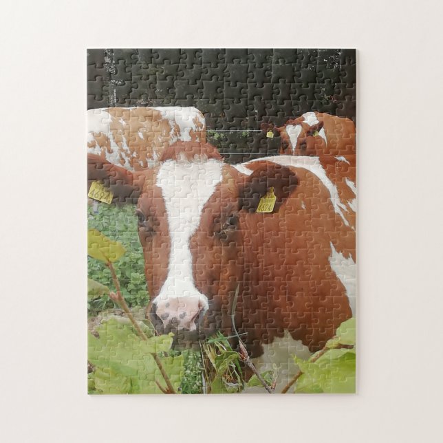Cows at a dairy farm. jigsaw puzzle (Vertical)
