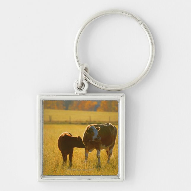 Cows at pasture keychain (Front)