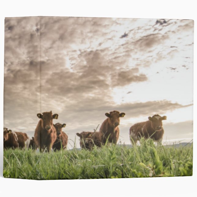 Cows Binder (Front/Spine)