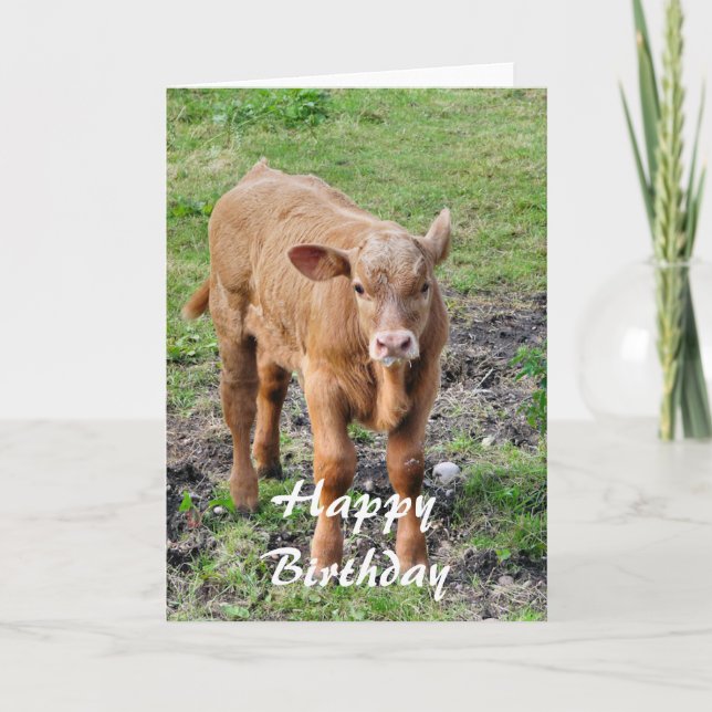 COWS CARD (Front)