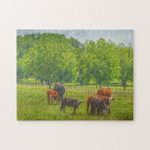 Cows Cattle Art Texas Farm Pasteur Puzzle