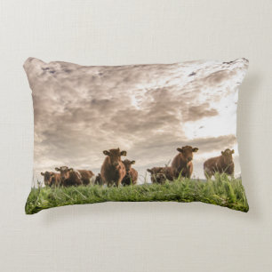 Cows Decorative Pillow