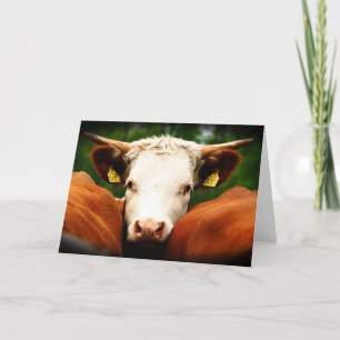 Cows Head Card