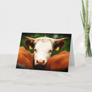 Cows Head Card