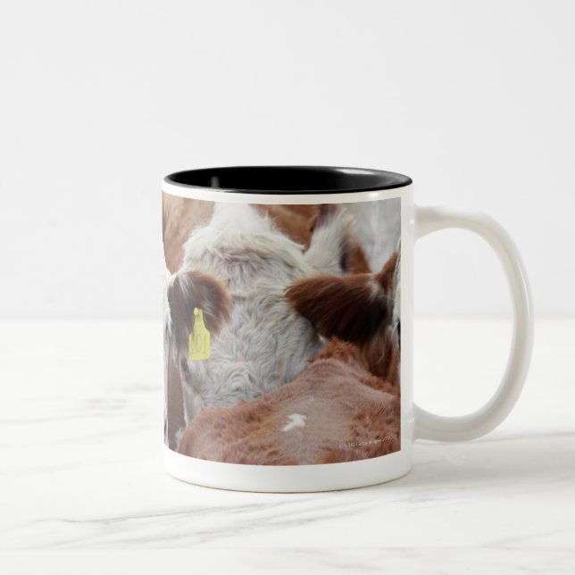 Cows in a corral Two-Tone coffee mug (Right)