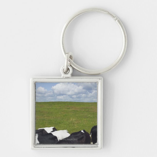 Cows in a pasture keychain (Front)