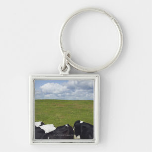 Cows in a pasture. keychain