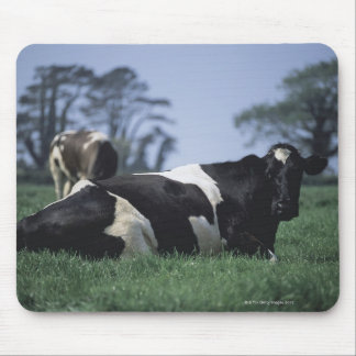 cows in a pasture mouse pad